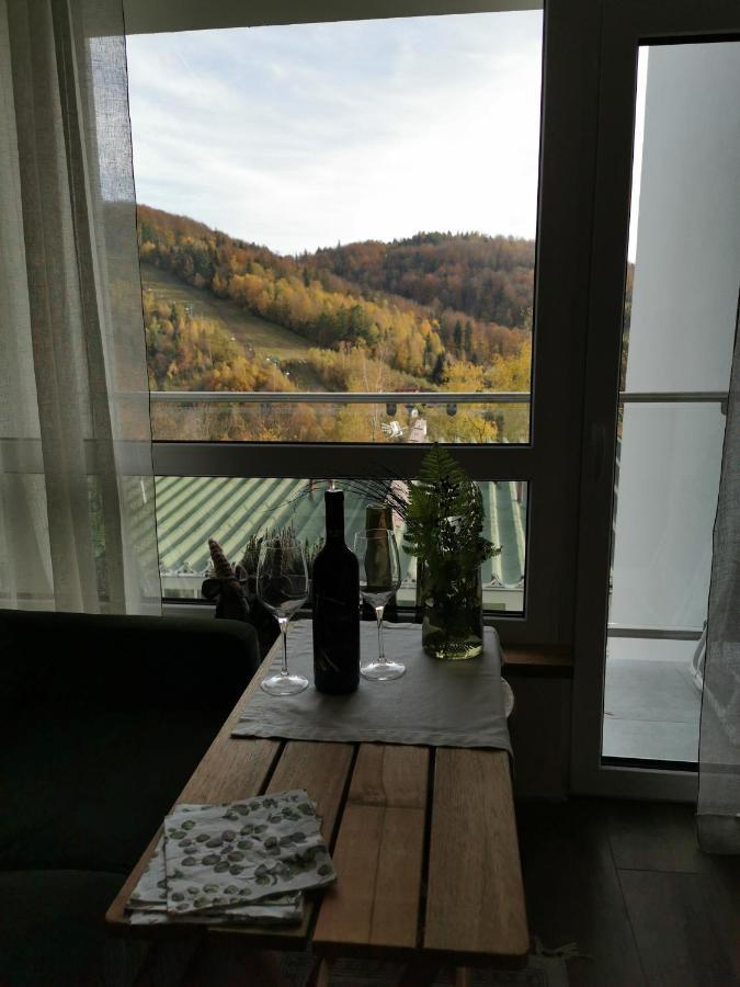 Apartment Hearth Hill View Ustron